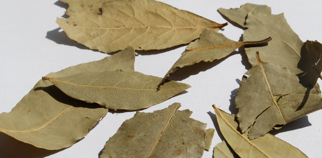 BAY LEAF WHOLE 